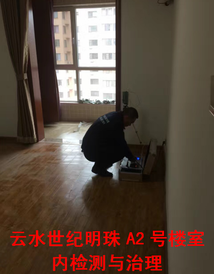 云水世纪明珠室内空气检测与治理