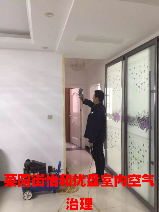 菜园街怡和优盘1单元室内空气治理