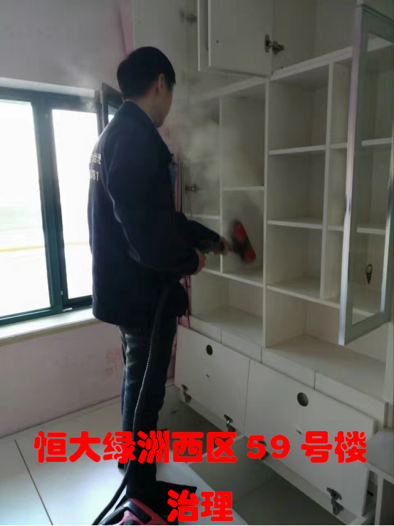 恒大绿洲西区59号楼治理