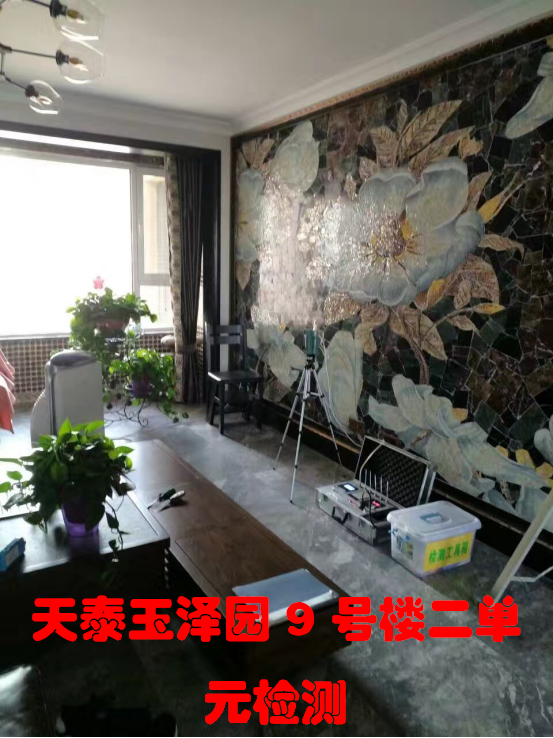 天泰玉泽园9号楼二单元检测