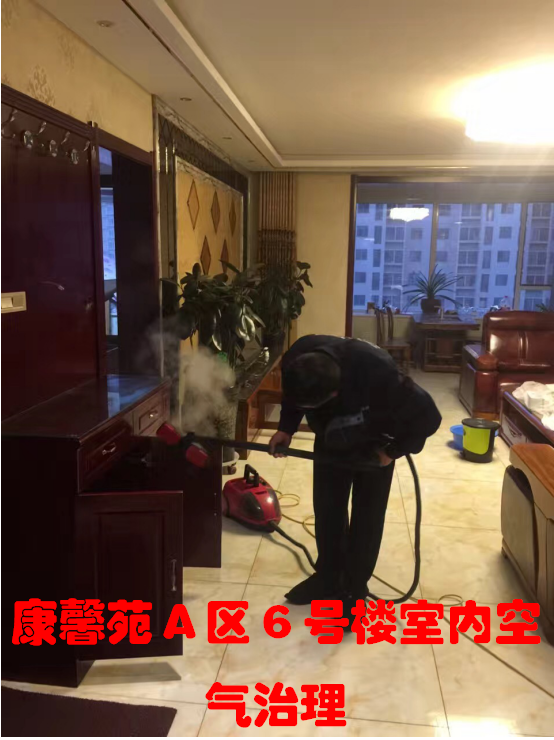 康馨苑A区6号楼1单元室内空气治理